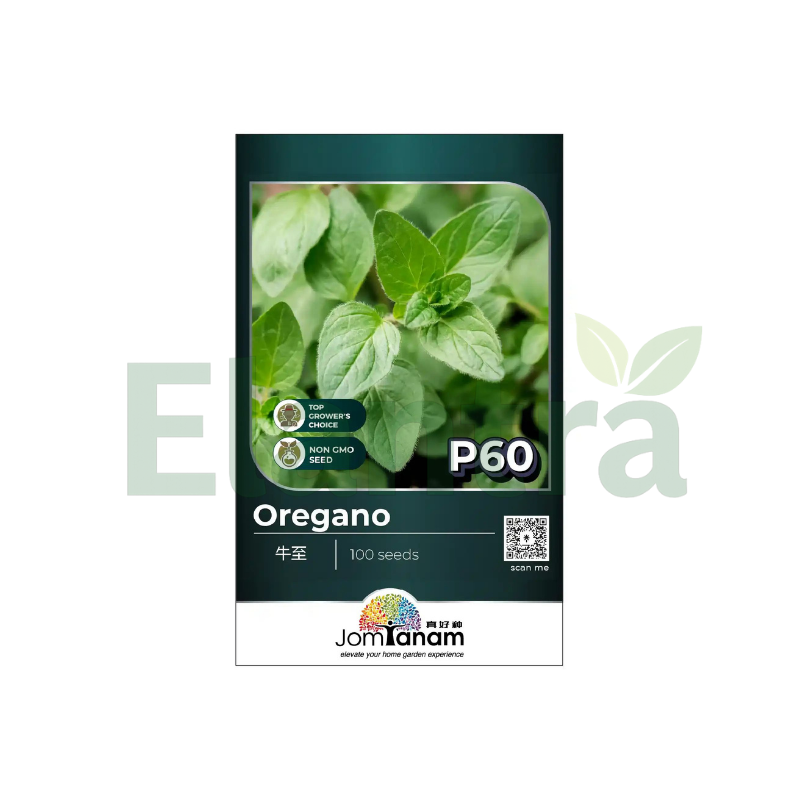 P60 OREGANO